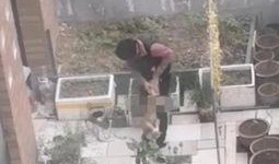 河南一小区爆料视频最新,业主维权引发关注，真相究竟如何？