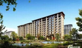 中骏爆料最新消息新闻报道,揭秘公司最新动态与未来规划